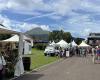 Des milliers de visiteurs de la 23e édition du marché Madiflora à Saint-Pierre -.